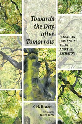 Towards the Day After Tomorrow 1