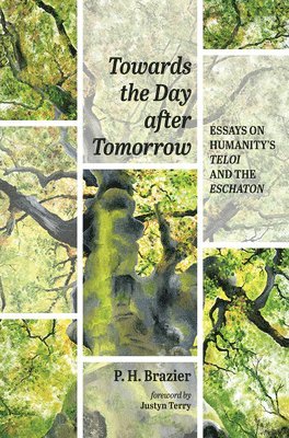 Towards the Day after Tomorrow 1