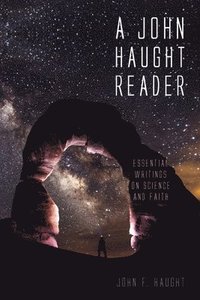 bokomslag John Haught Reader