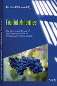 bokomslag Fruitful Minorities