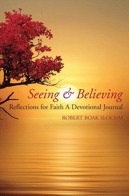 Robert Boak Slocum - Seeing & Believing, Häftad