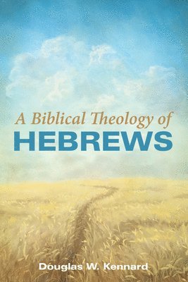 bokomslag Biblical Theology of Hebrews