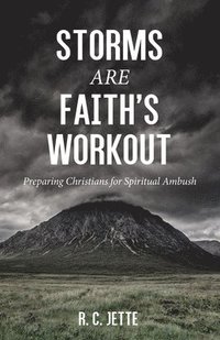 bokomslag Storms Are Faith's Workout