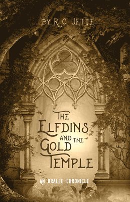 bokomslag Elfdins and the Gold Temple