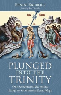 bokomslag Plunged Into the Trinity