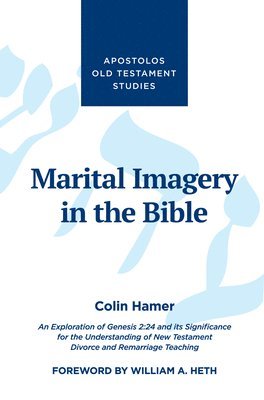 bokomslag Marital Imagery in the Bible