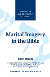 bokomslag Marital Imagery in the Bible