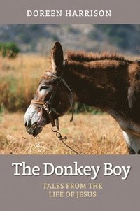 bokomslag The Donkey Boy
