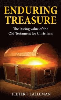 bokomslag Enduring Treasure