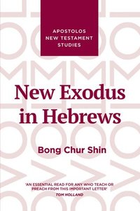 bokomslag New Exodus in Hebrews