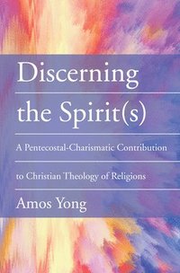 bokomslag Discerning the Spirit(s)