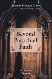 bokomslag Beyond Parochial Faith