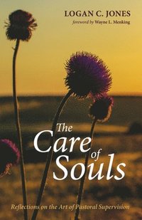 bokomslag The Care of Souls