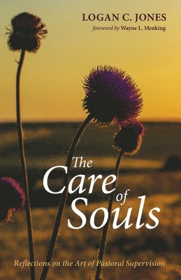 bokomslag Care of Souls