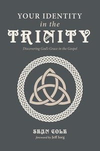 bokomslag Your Identity in the Trinity