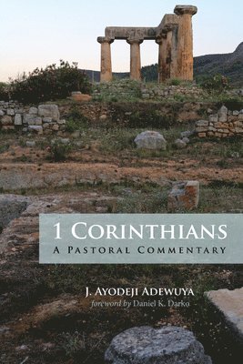 J Ayodeji Adewuya, J. Ayodeji Adewuya - 1 Corinthians, Inbunden