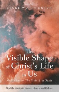 bokomslag Visible Shape of Christ's Life in Us