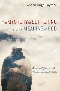 bokomslag The Mystery of Suffering and the Meaning of God