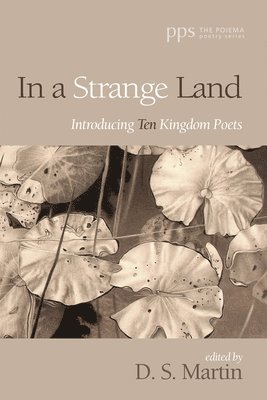 D S Martin, D. S. Martin - In a Strange Land, Häftad