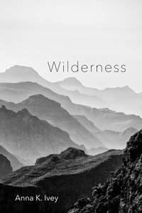 bokomslag Wilderness