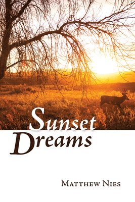 Sunset Dreams 1