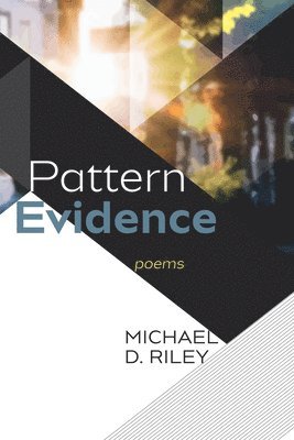 Michael D Riley, Michael D. Riley - Pattern Evidence, Inbunden