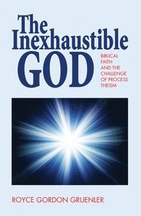 bokomslag The Inexhaustible God