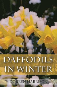 bokomslag Daffodils in Winter