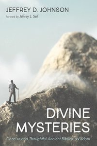 bokomslag Divine Mysteries