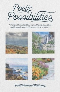 bokomslag Poetic Possibilities