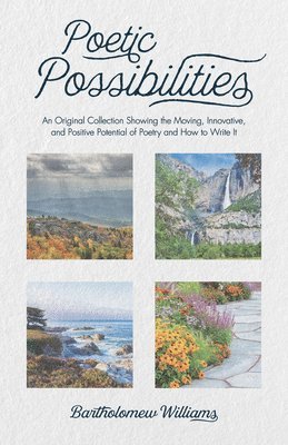 Poetic Possibilities 1