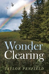 bokomslag Wonder Clearing