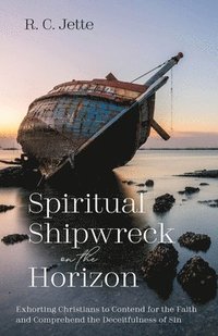 bokomslag Spiritual Shipwreck on the Horizon