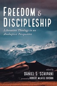 bokomslag Freedom and Discipleship