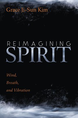 Grace Ji-Sun Kim - Reimagining Spirit, Häftad