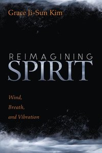 bokomslag Reimagining Spirit