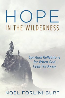 Hope in the Wilderness 1