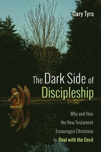 bokomslag The Dark Side of Discipleship