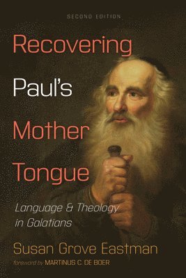 bokomslag Recovering Paul's Mother Tongue, Second Edition