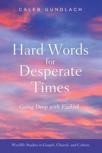bokomslag Hard Words for Desperate Times