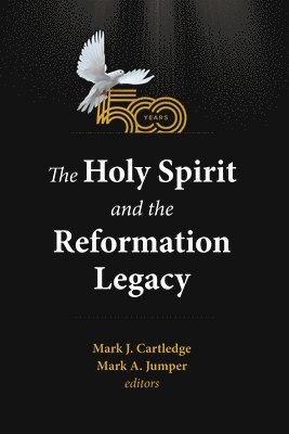 bokomslag Holy Spirit and the Reformation Legacy