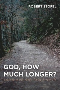 bokomslag God, How Much Longer?