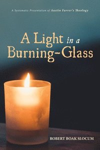 bokomslag A Light in a Burning-Glass