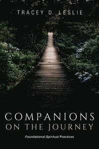 bokomslag Companions on the Journey