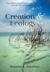 bokomslag Creation and Ecology
