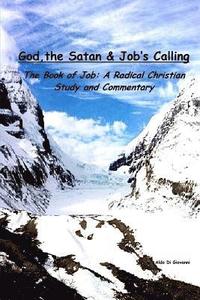 bokomslag God, the Satan and Job's Calling: The Book of Job: A Radical Christian Study and Commnetary