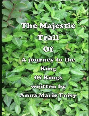 The Majestic Trail Of A journey to the King Of Kings 1