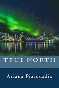 True North 1