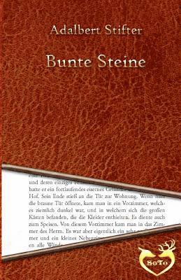 bokomslag Bunte Steine