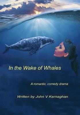 In the wake of Whales 1